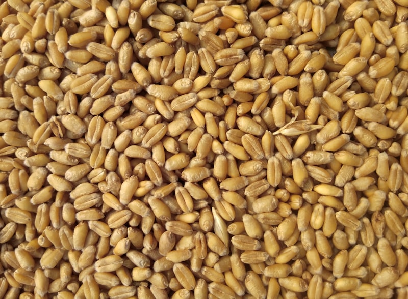 Guar Gum in Food Industry: Complete Guide for Importers
