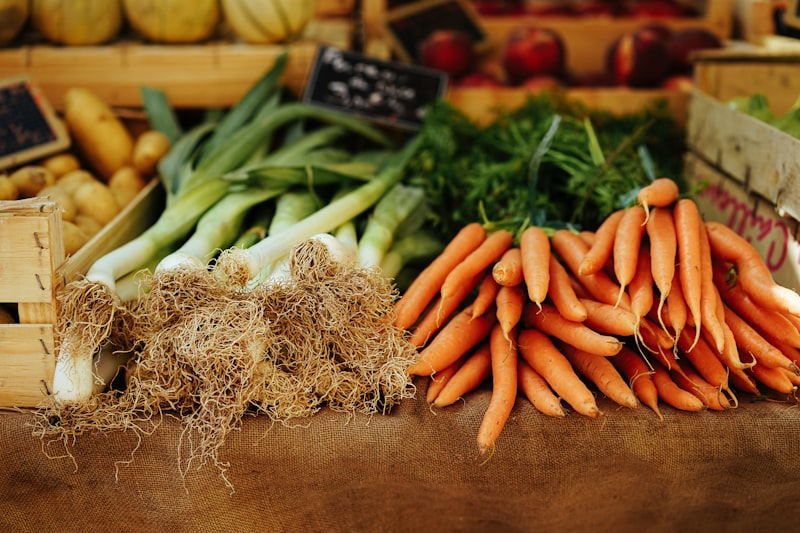 Herbal Extracts: Manufacturing Process and Quality Standards