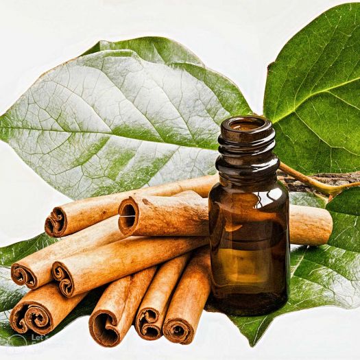 Cinnamon Oil Manufacturers, Suppliers, Exporters in Pakistan
