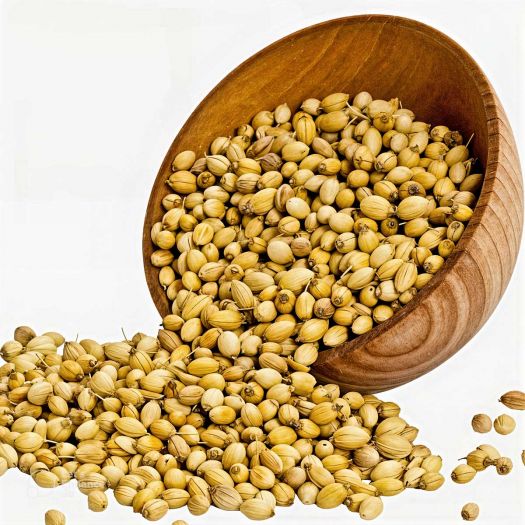 Coriander Seeds Manufacturers, Suppliers, Exporters in Pakistan