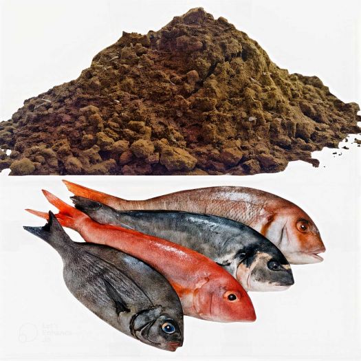 Fish Meal Manufacturers, Suppliers, Exporters in Pakistan