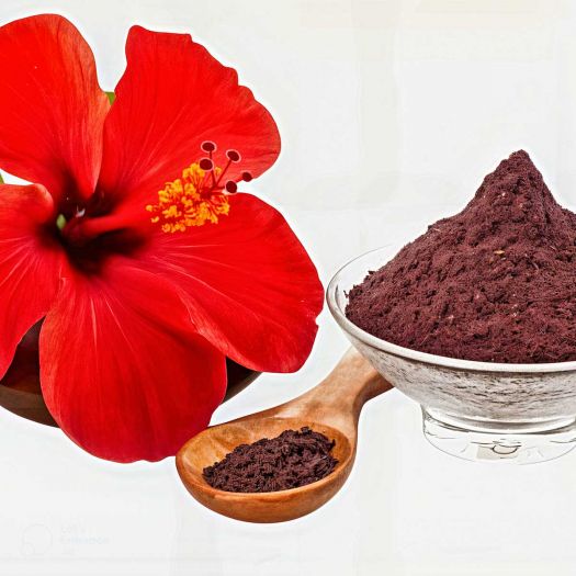 Hibiscus Powder Manufacturers, Suppliers, Exporters in Pakistan