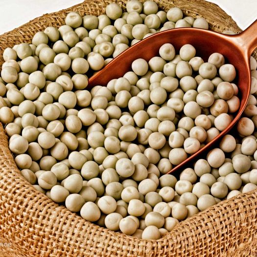 Pea Seeds Manufacturers, Suppliers, Exporters in Pakistan