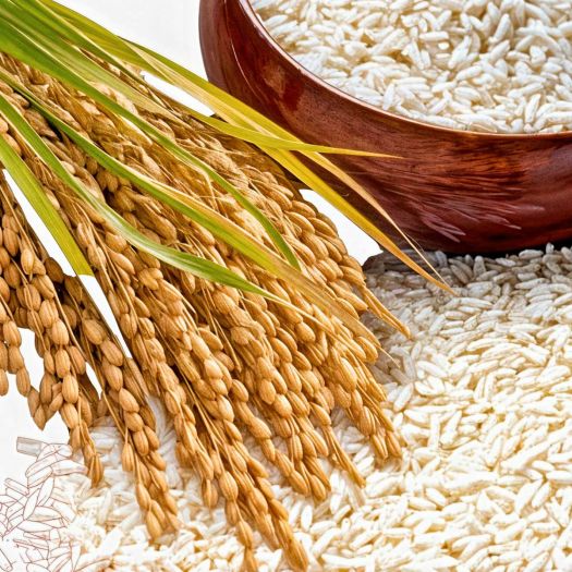 Rice Bran Manufacturers, Suppliers, Exporters in Pakistan
